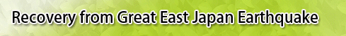 Recovery from Great East Japan Earthquake Recovery from Great East Japan Earthquake
